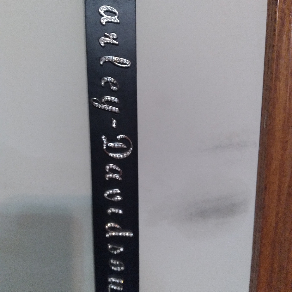 Harley Davidson Belt